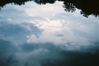 Reflections of trees and sky mirrored perfectly on still water.