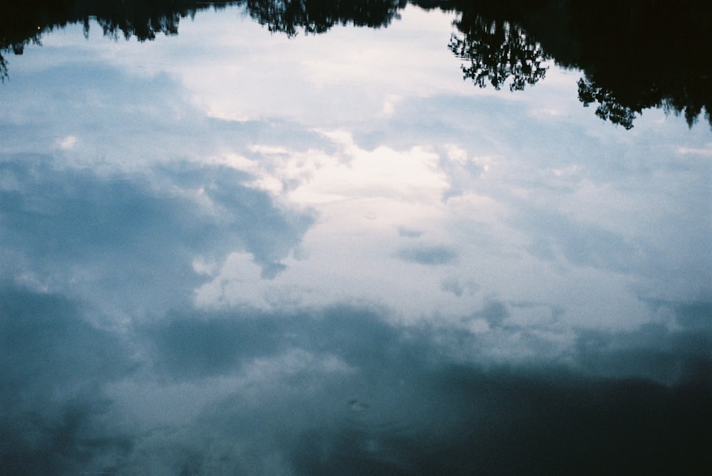 green trees under white clouds during daytime