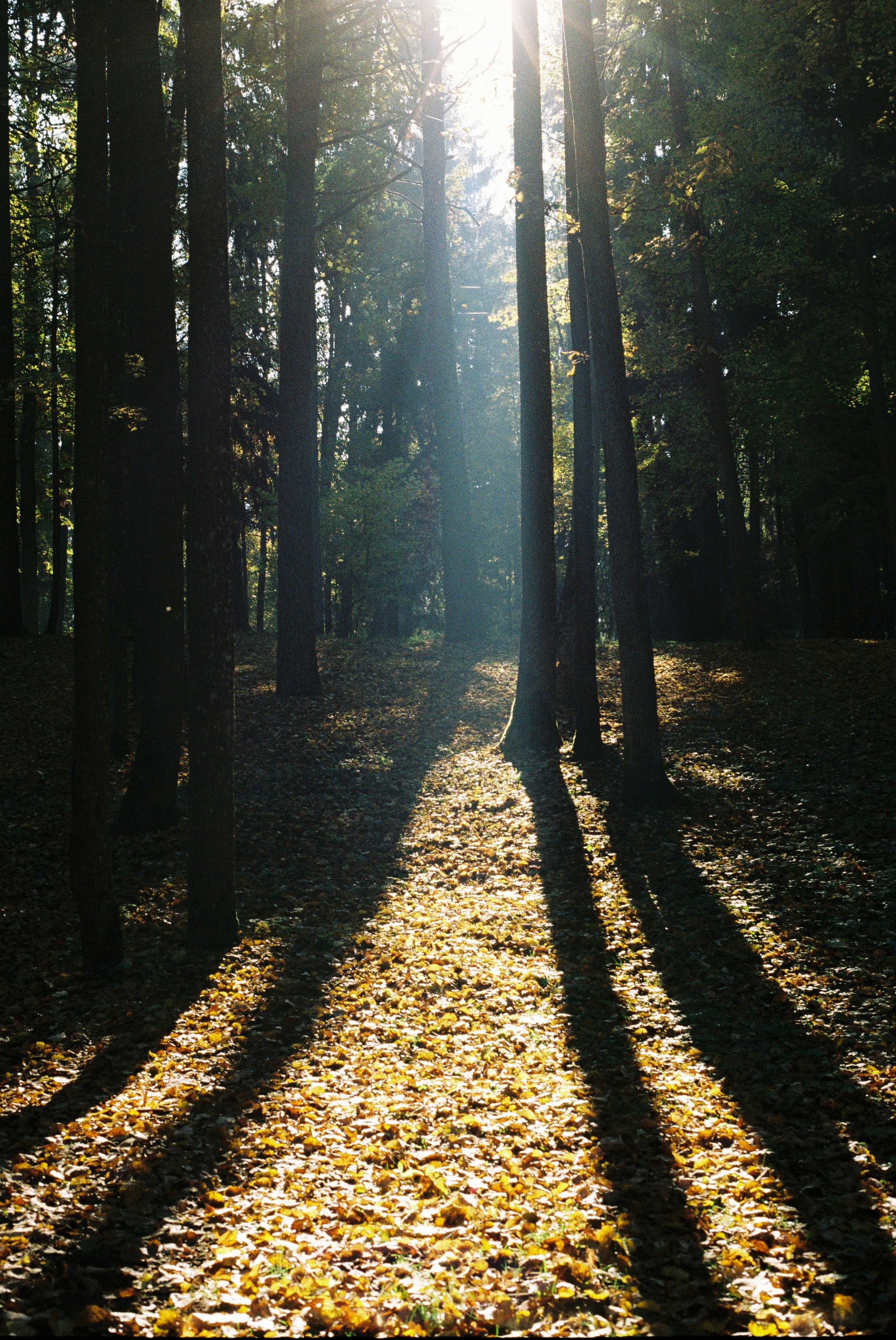 Photo by krijovnik