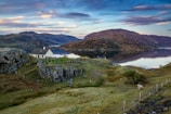 white and gray house on green grass field near body of water under blue sky during