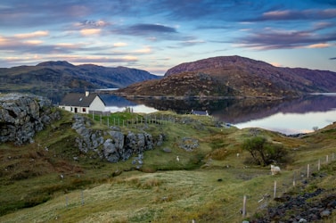 white and gray house on green grass field near body of water under blue sky during