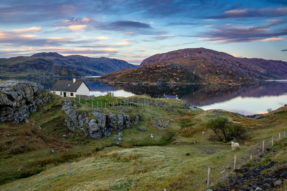 white and gray house on green grass field near body of water under blue sky during