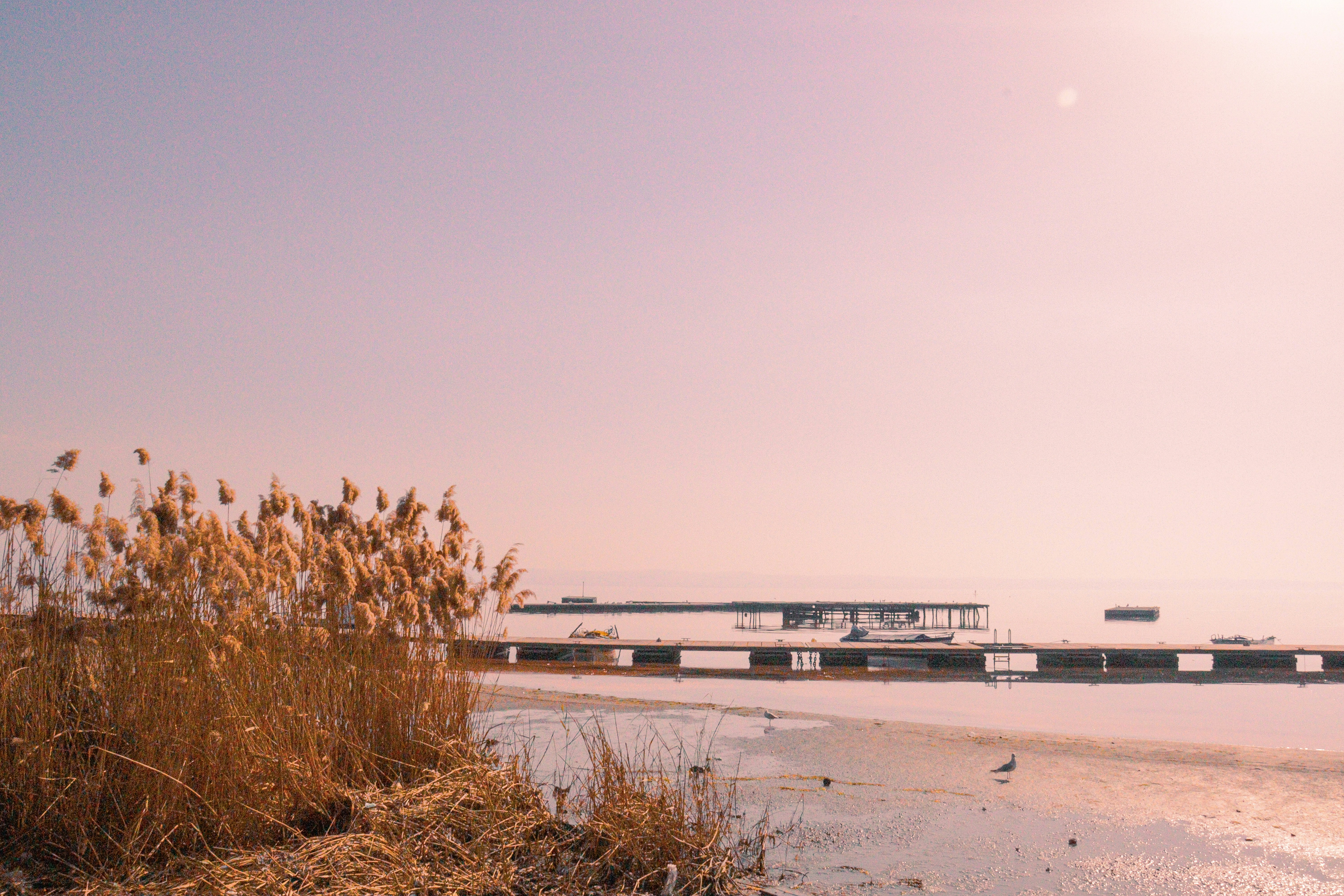 Photo by georgiaboutzakou