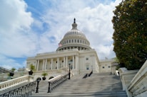 white concrete building under blue sky during daytime