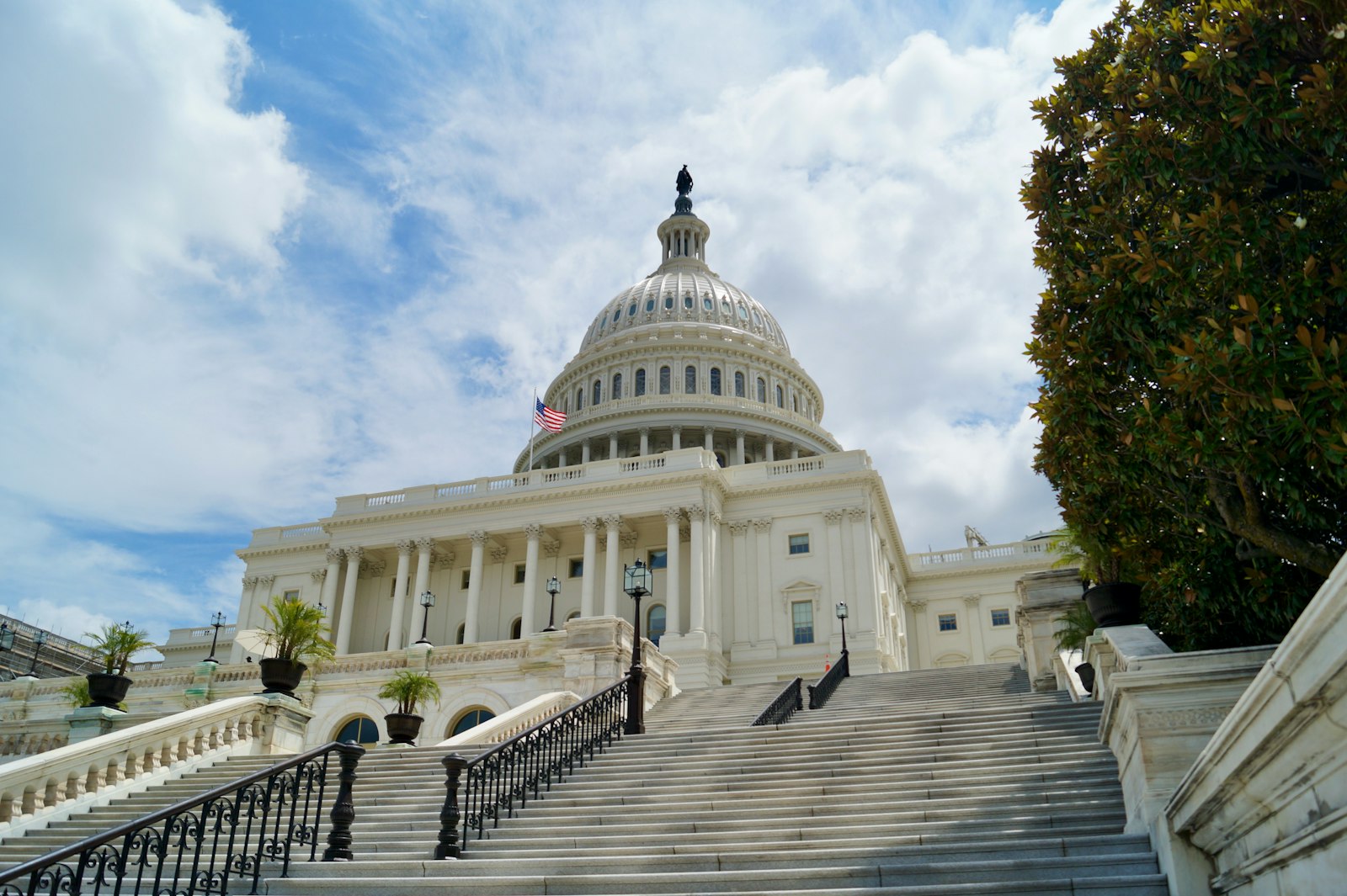 Born to Run the Numbers: Congress Just Put All-In Ticket Pricing Back on the Table