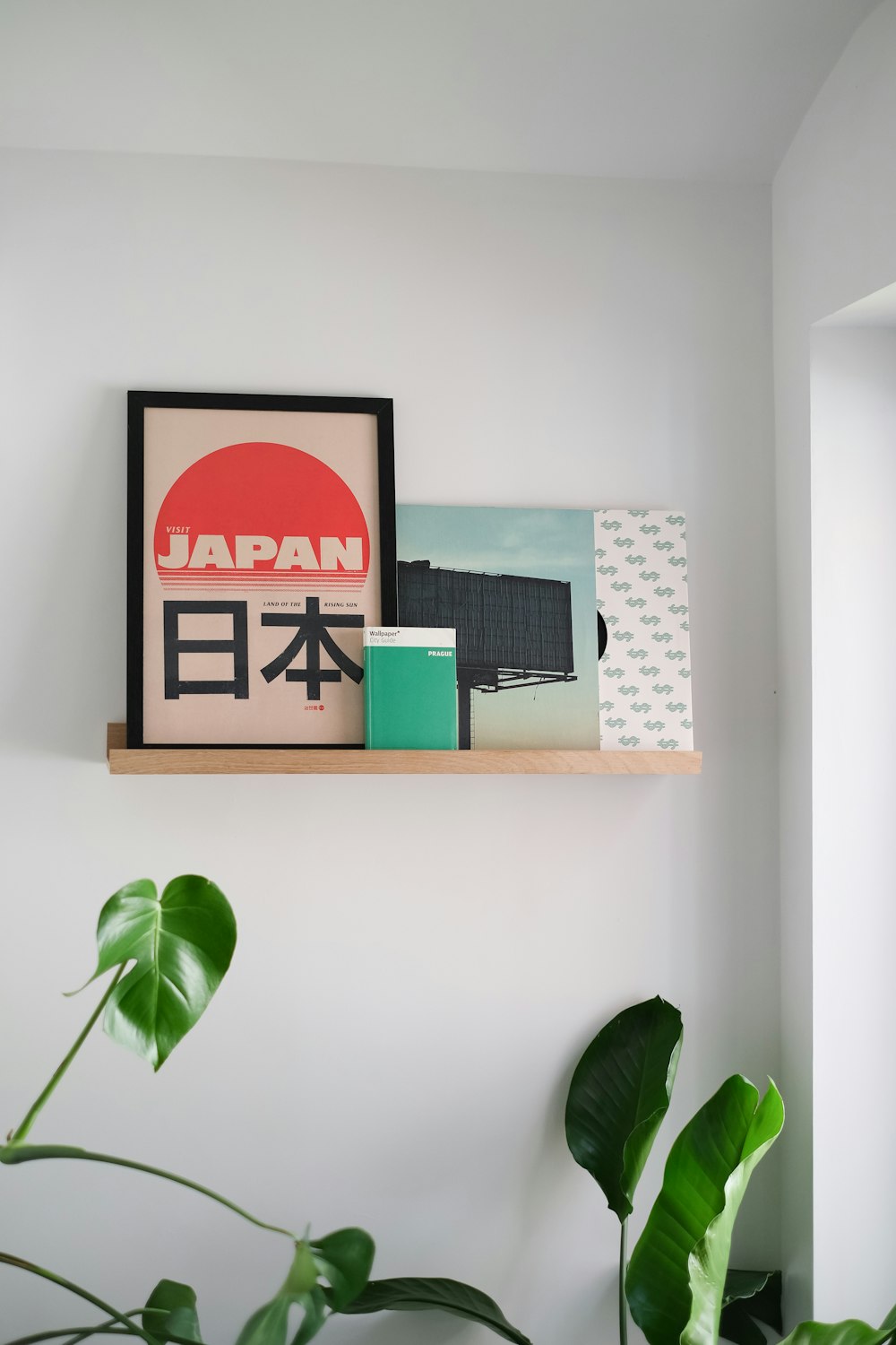 a plant and a picture on a shelf