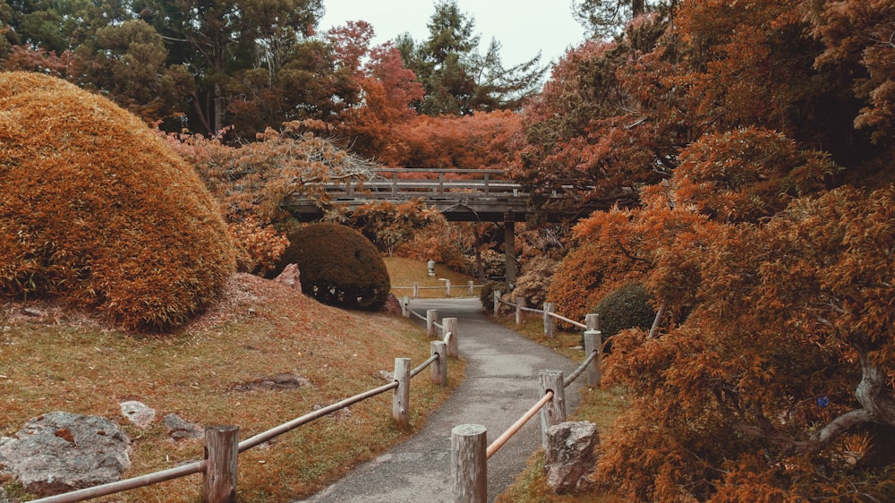 Puente de hormigón gris rodeado de árboles