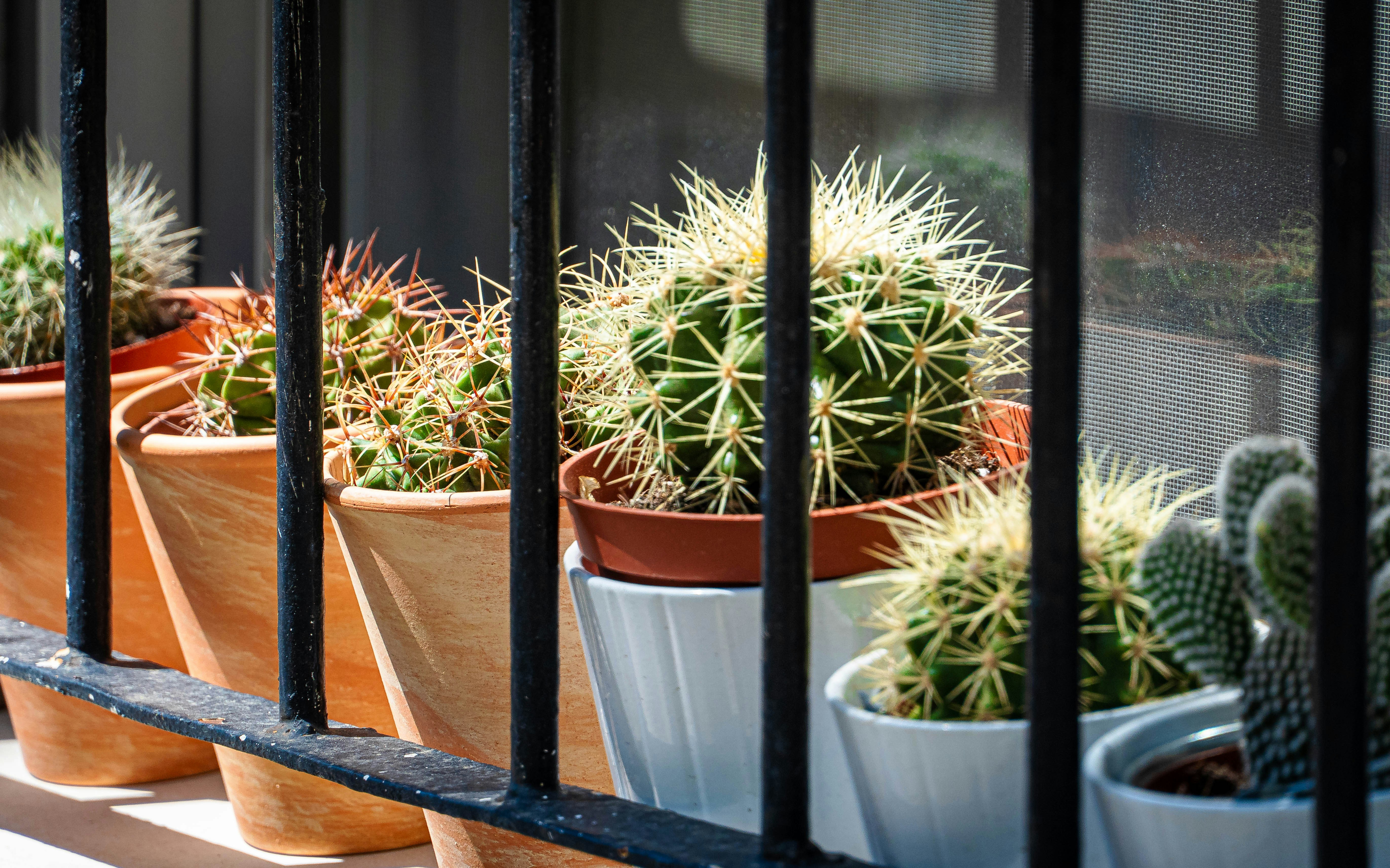 Photo by joseantoniogall