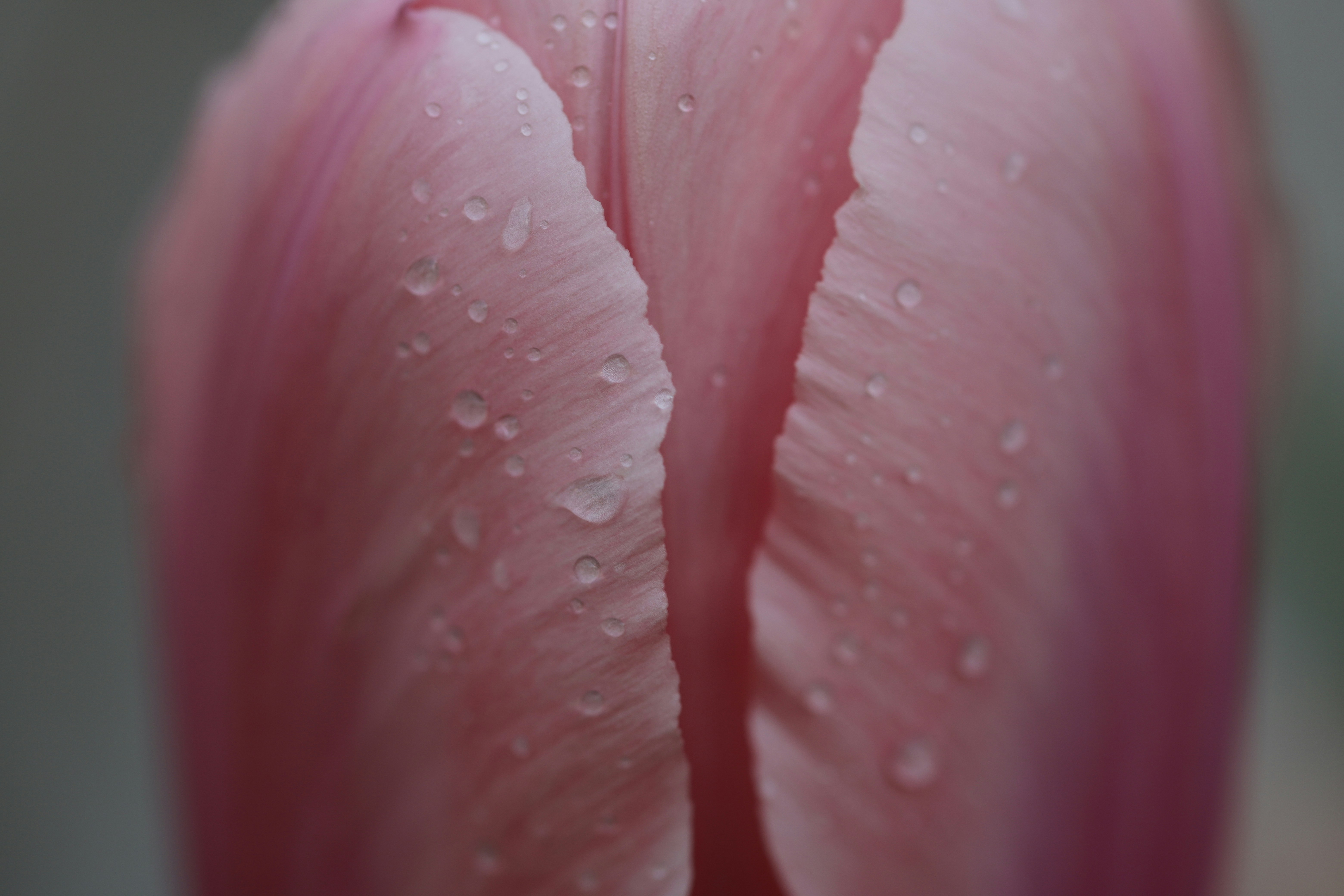Photo by hdbernd