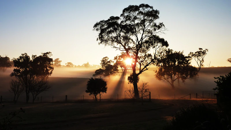 Stirling village in the Adelaide Hills featuring lush greenery and stone cottages