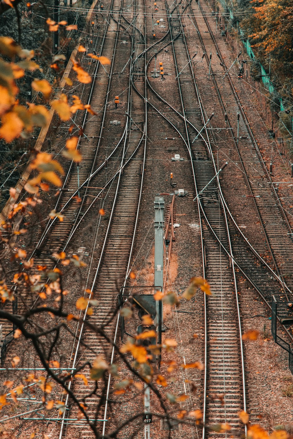 지상에 노란 잎이있는 기차 레일
