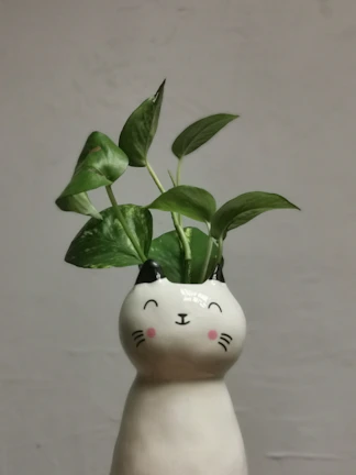 Whimsical ceramic planter in the form of a smiling cat with a trailing ivy plant.