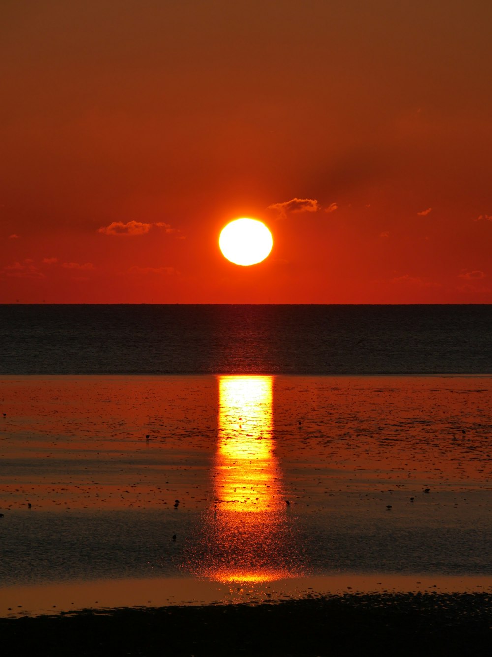 sunset over the sea with beach