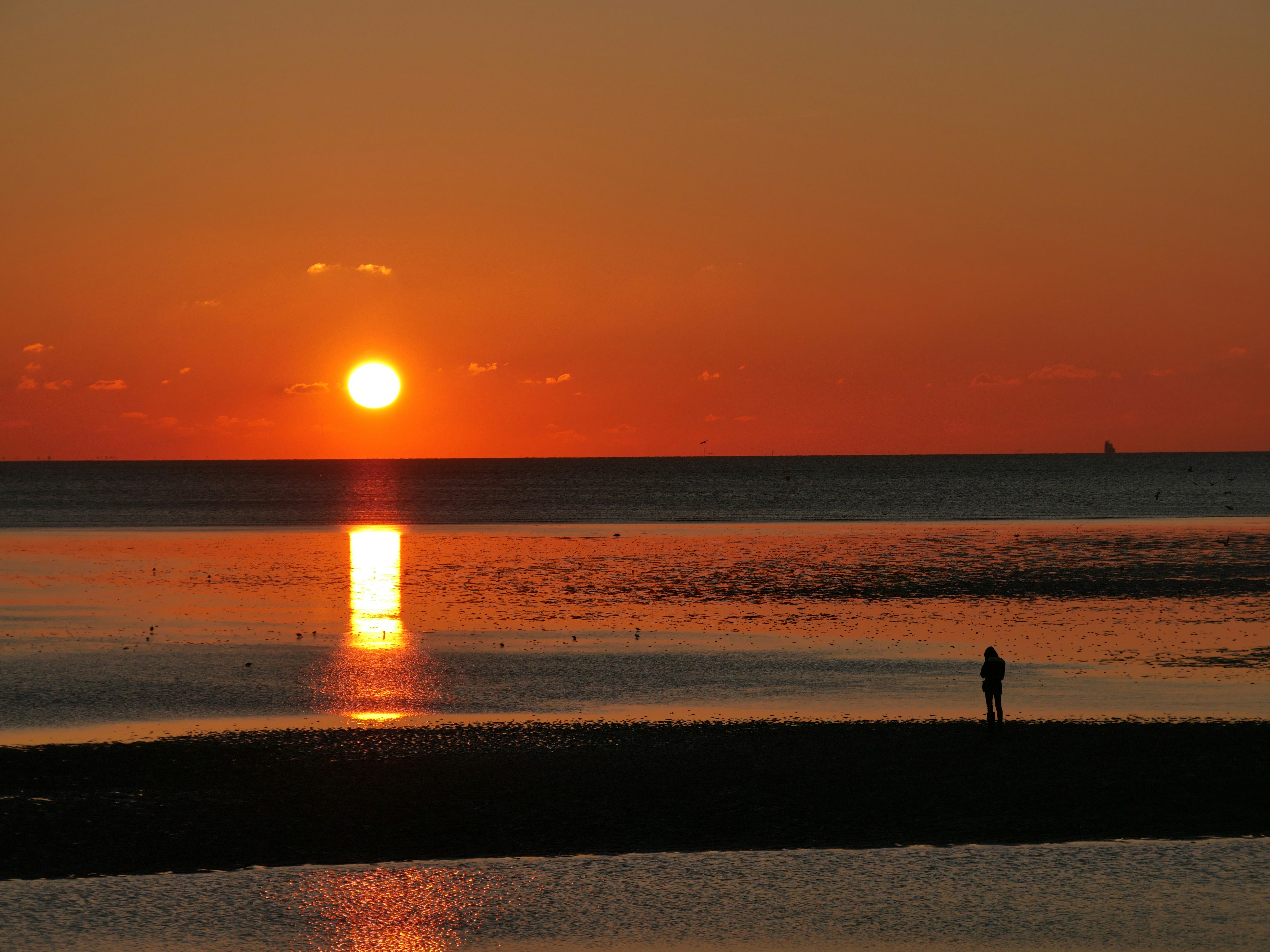 Photo by nimbus_vulpis