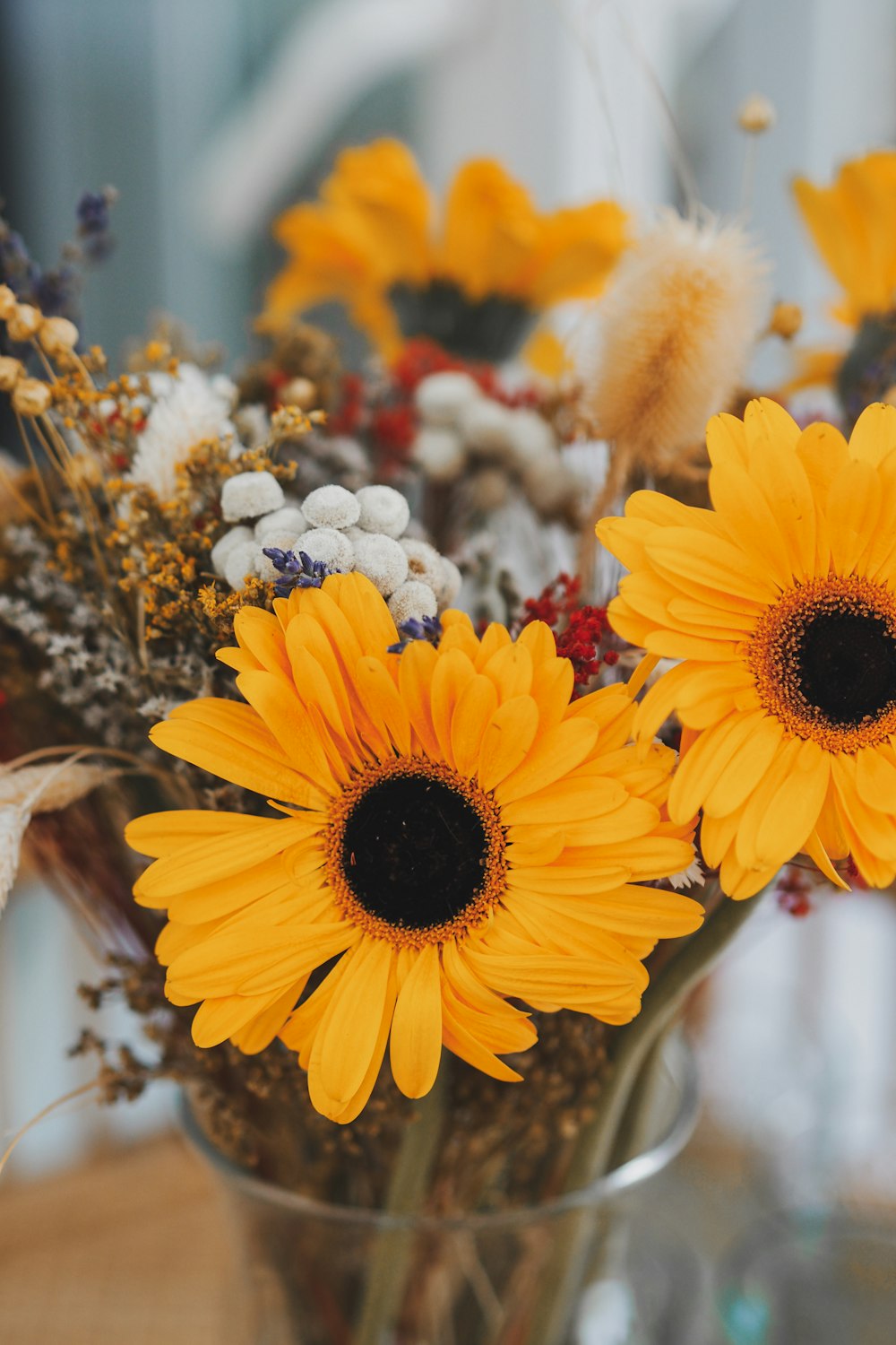 yellow sunflower in tilt shift lens