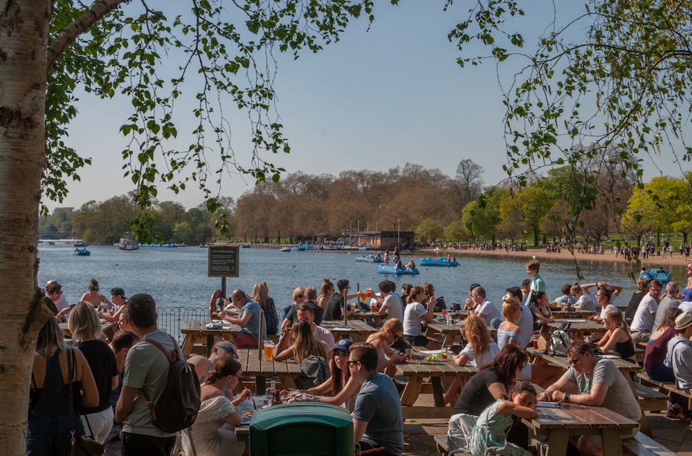 people sitting on chair near body of water during daytime