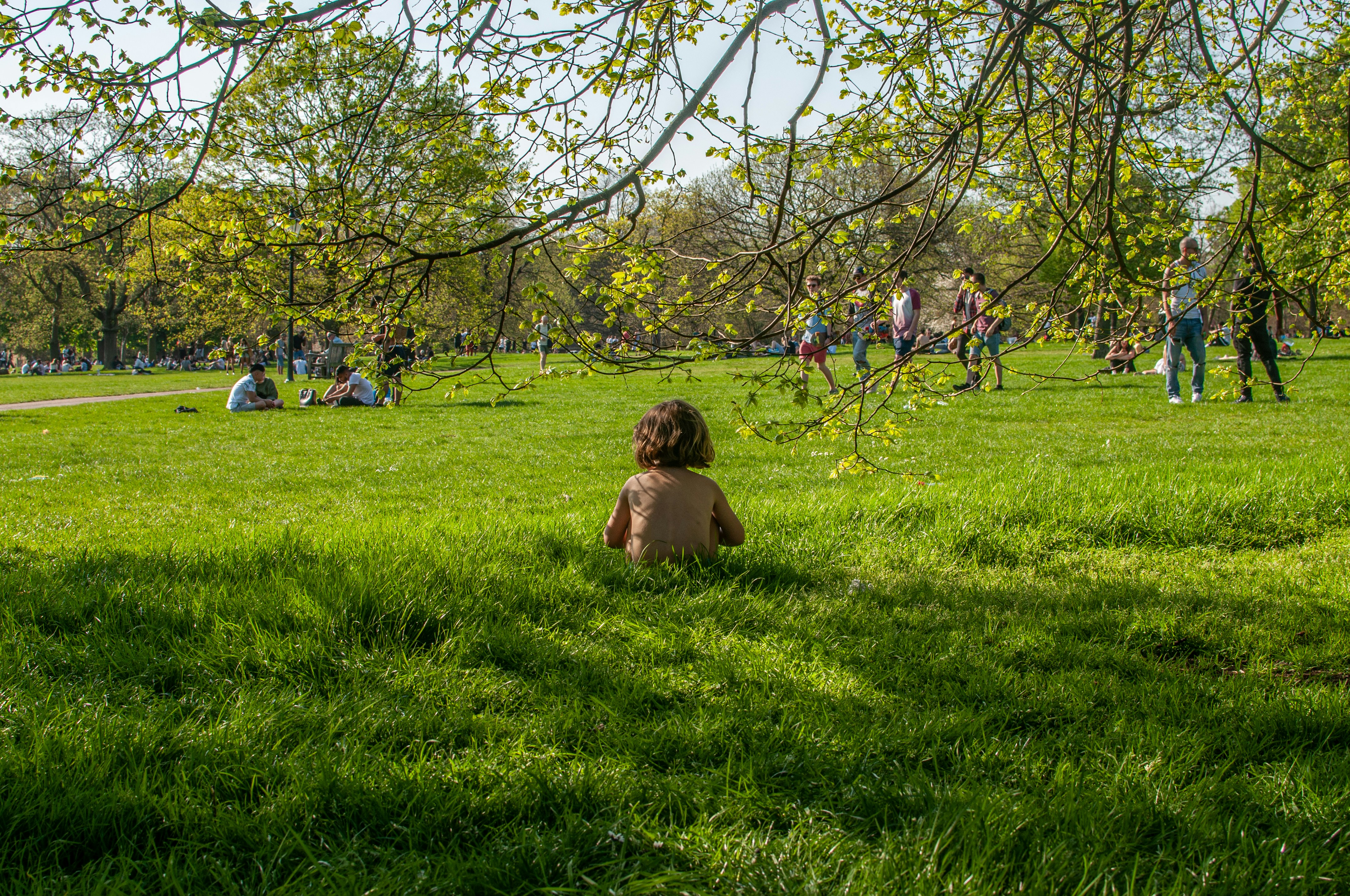 children sitting on green grass field during daytime