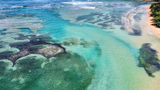 aerial view of green and brown land