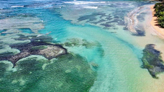 aerial view of green and brown land