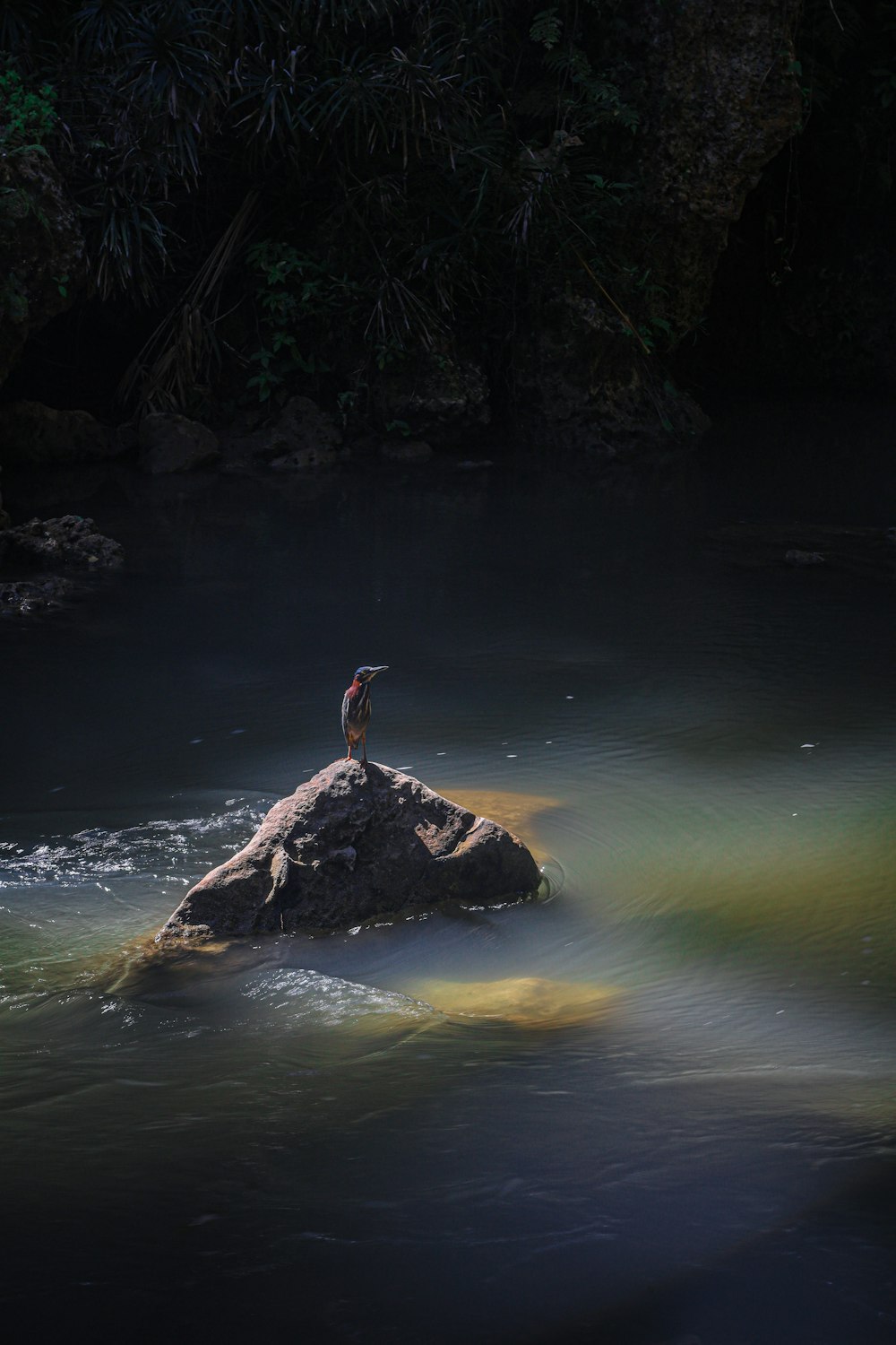 person in water during daytime