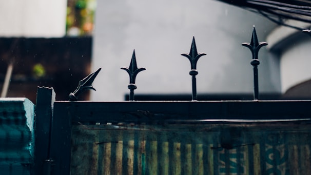 A close-up of a beautifully crafted wrought iron fence.