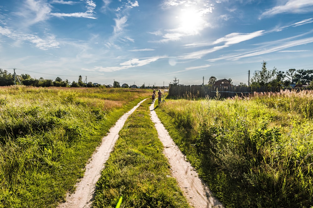 green grass field under blue sky during daytime