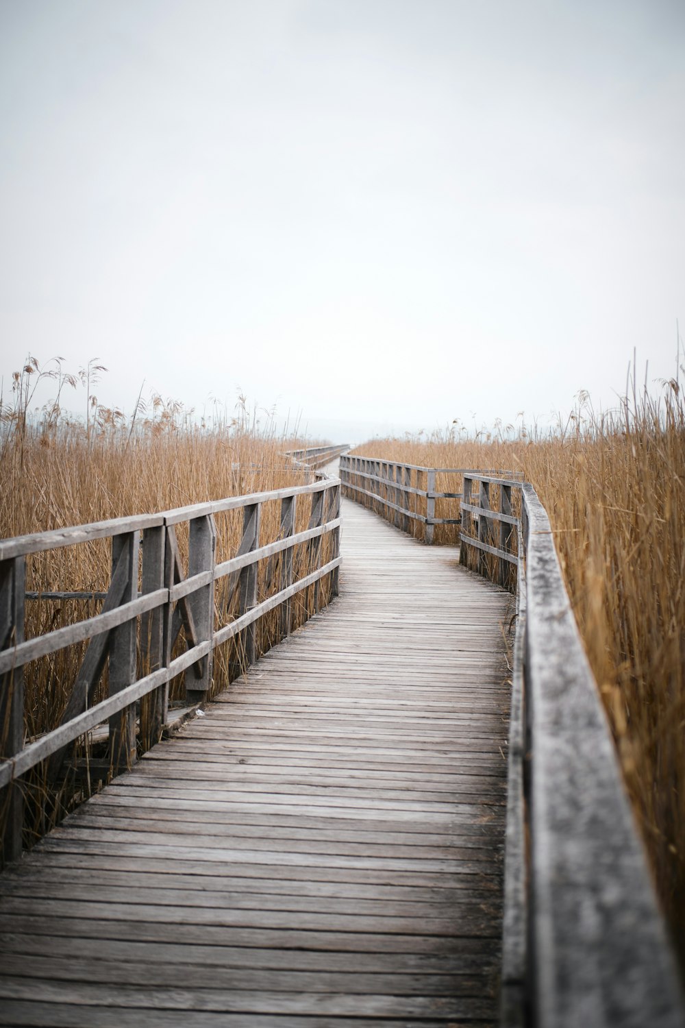 brown wooden bridge between brown grass field during daytime