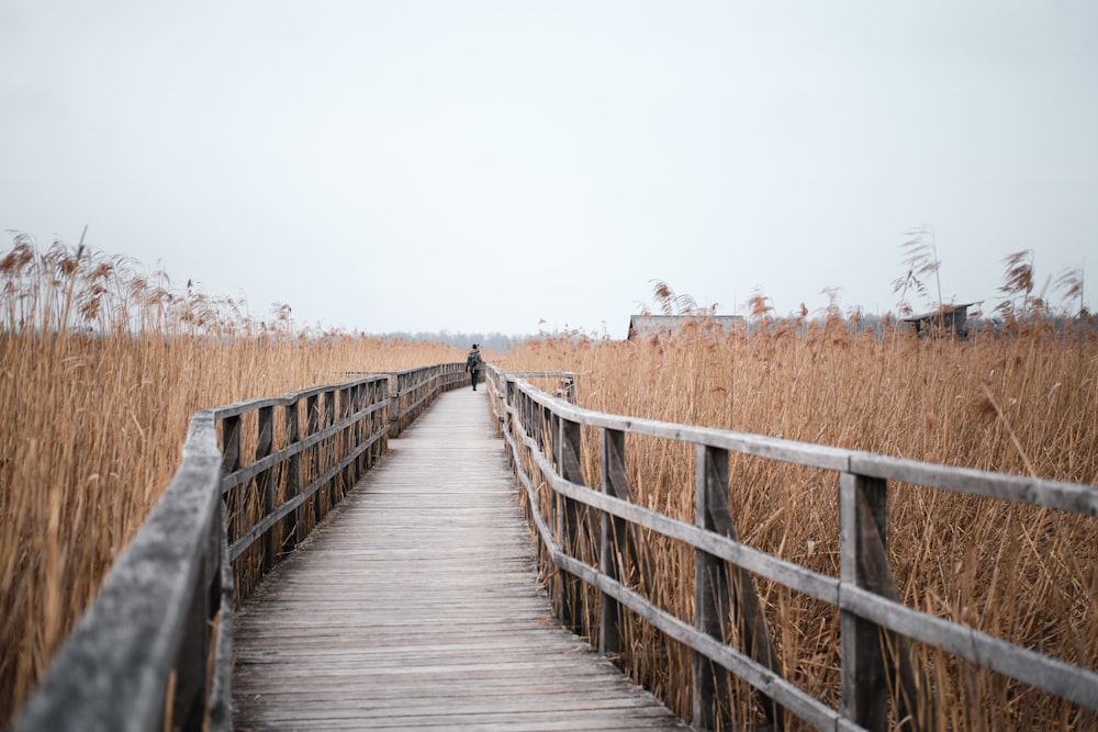 braune Holzbrücke tagsüber unter blauem Himmel