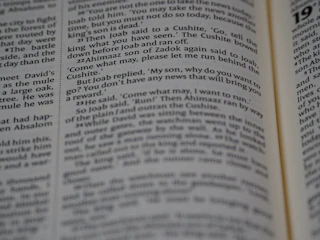 A translator reviewing a manuscript with a focused expression.