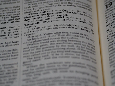 A translator reviewing a manuscript with a focused expression.