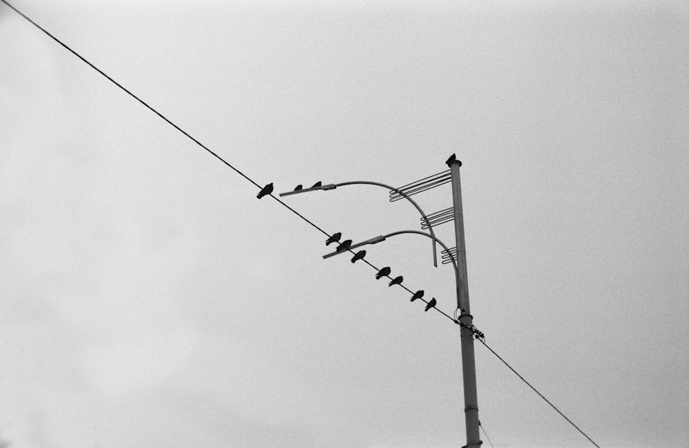 black steel electric post under white cloudy sky during daytime