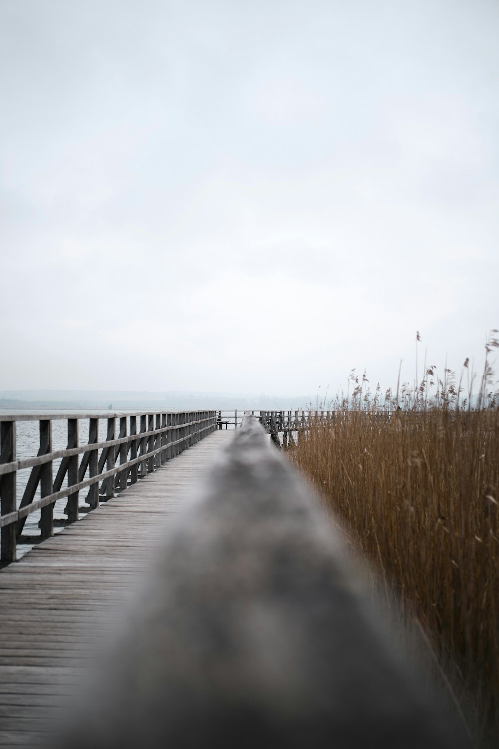 brown wooden dock on sea under white sky during daytime