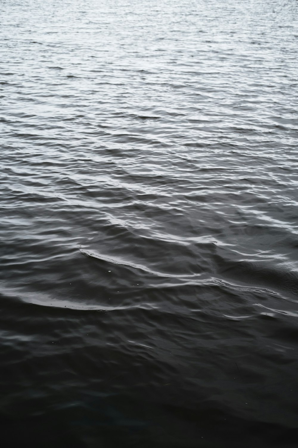 specchio d'acqua durante il giorno