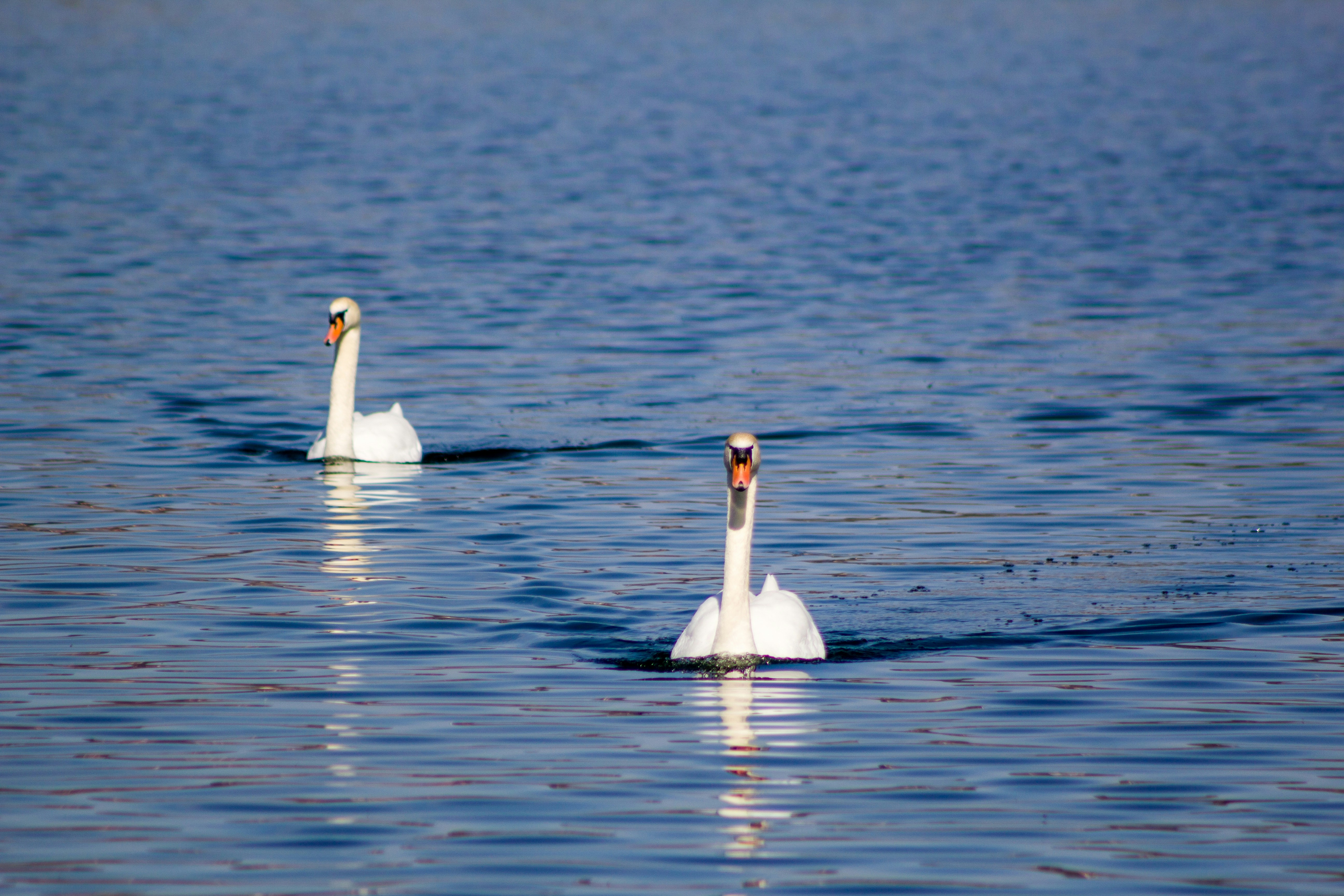 Photo by levi_midnight