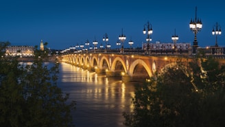 brown concrete bridge over river during night time