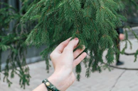 Close-up of hands gently touching tree bark, highlighting tactile sensitivity.