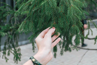 Close-up of hands gently touching tree bark, highlighting tactile sensitivity.