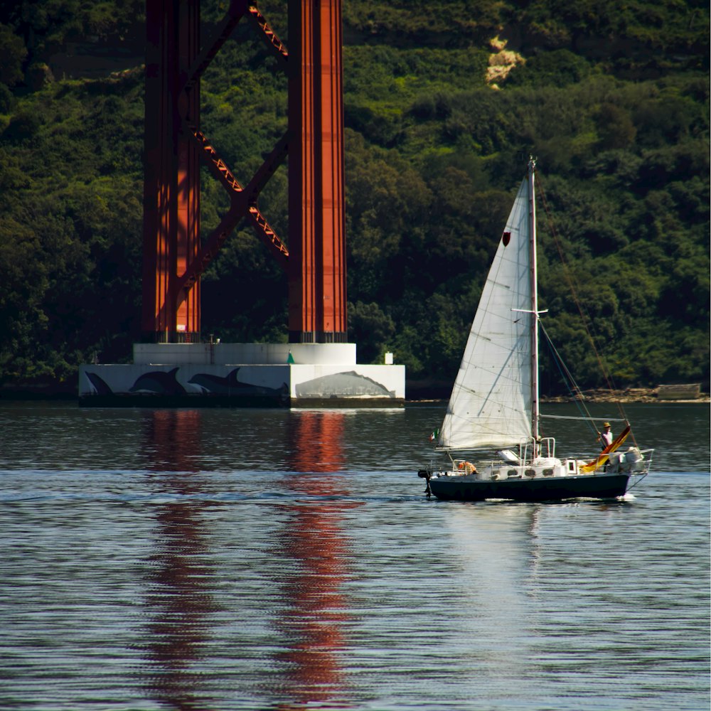 white sailboat on body of water during daytime