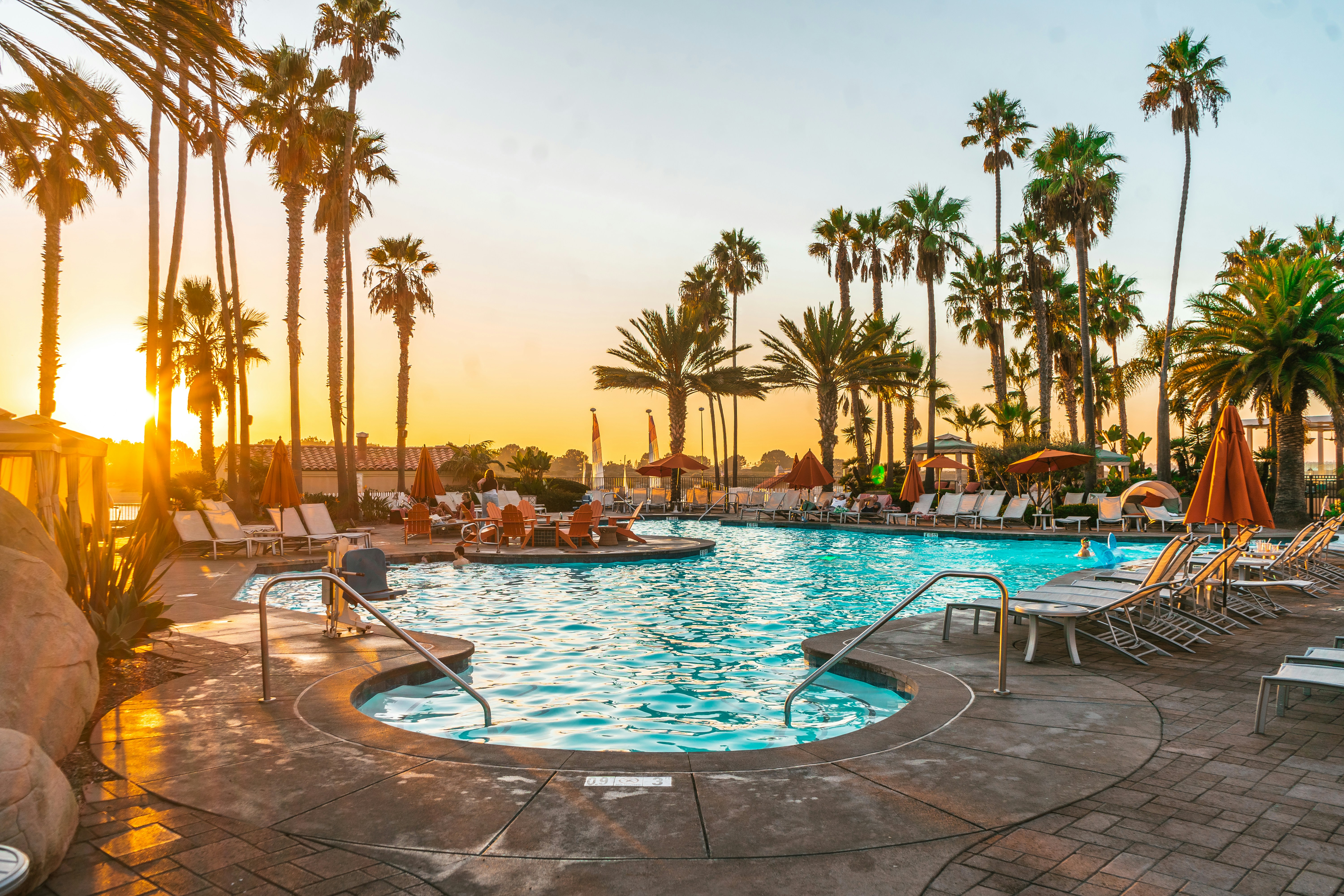 swimming pool surrounded by palm trees during daytime