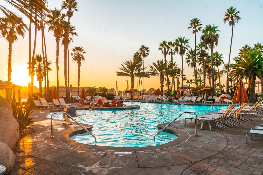 piscina rodeada por palmeiras durante o dia