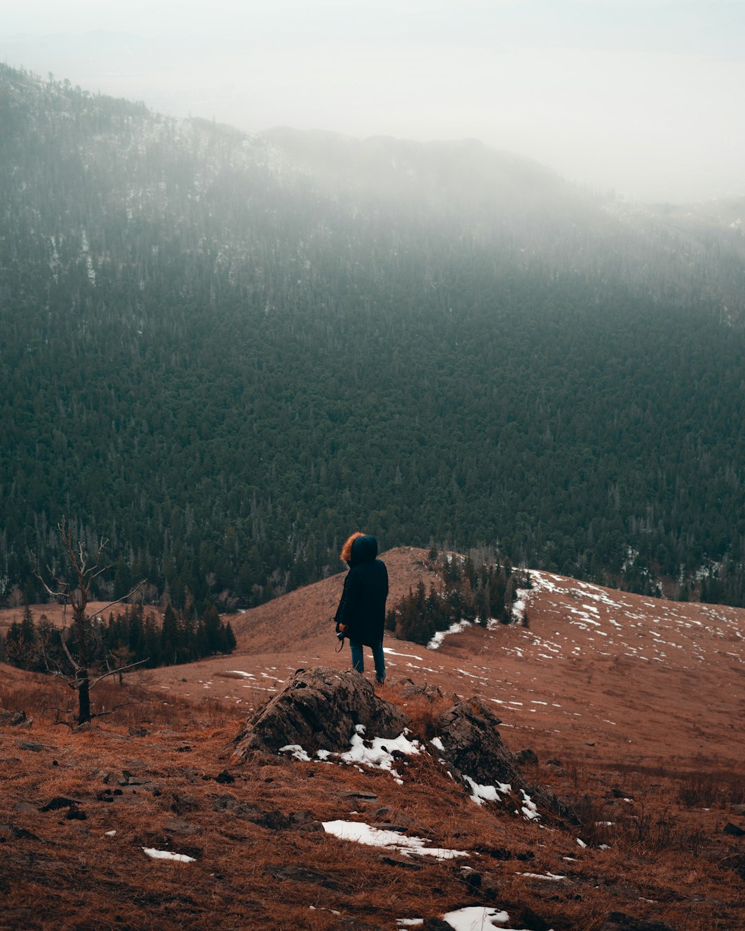 person in black jacket standing on brown rock during daytime