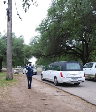 A uniformed person is saluting on a path near a road. A white hearse and other vehicles are parked nearby, surrounded by trees and greenery. The atmosphere is solemn and respectful.