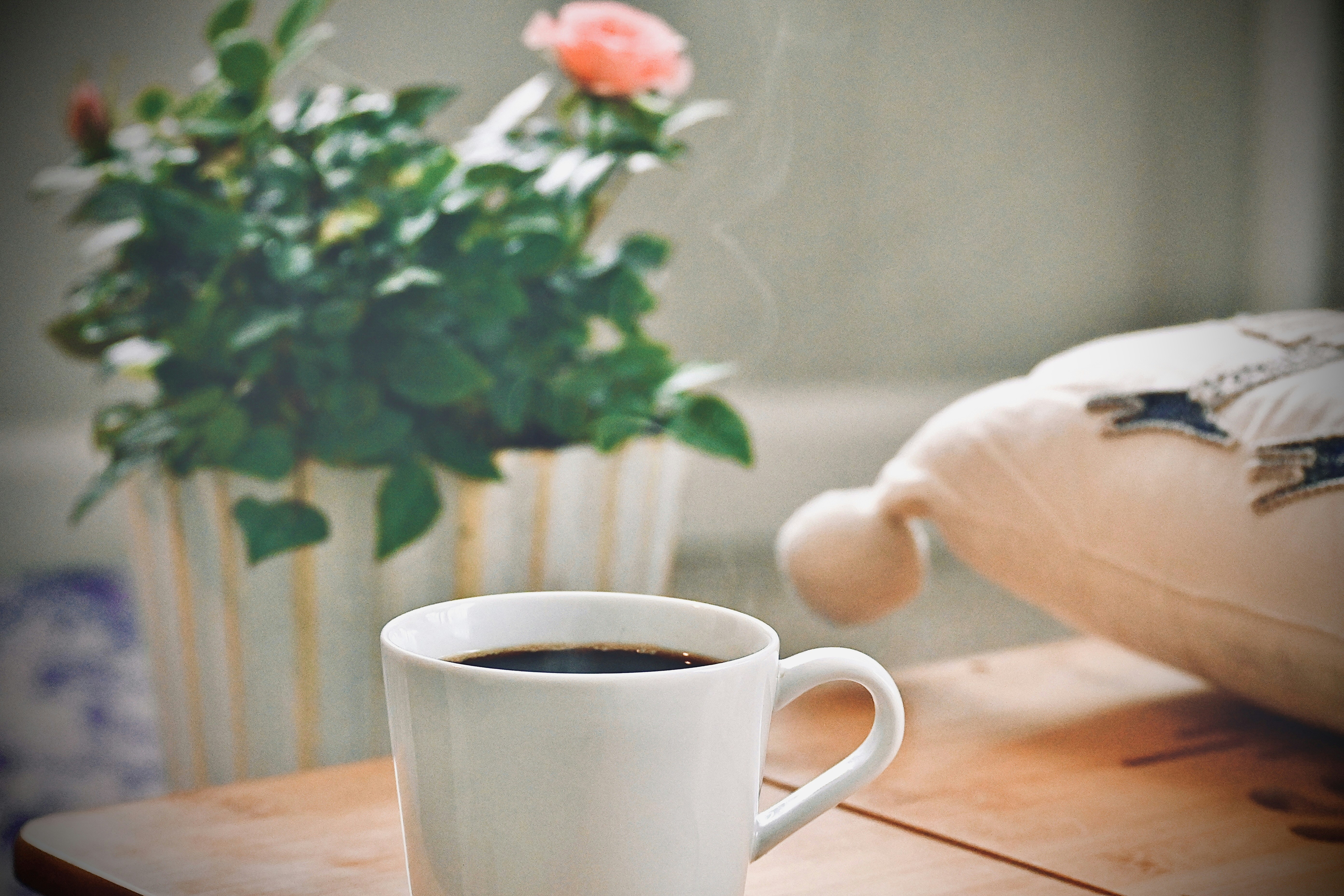 Photo by vijetha_surakanti