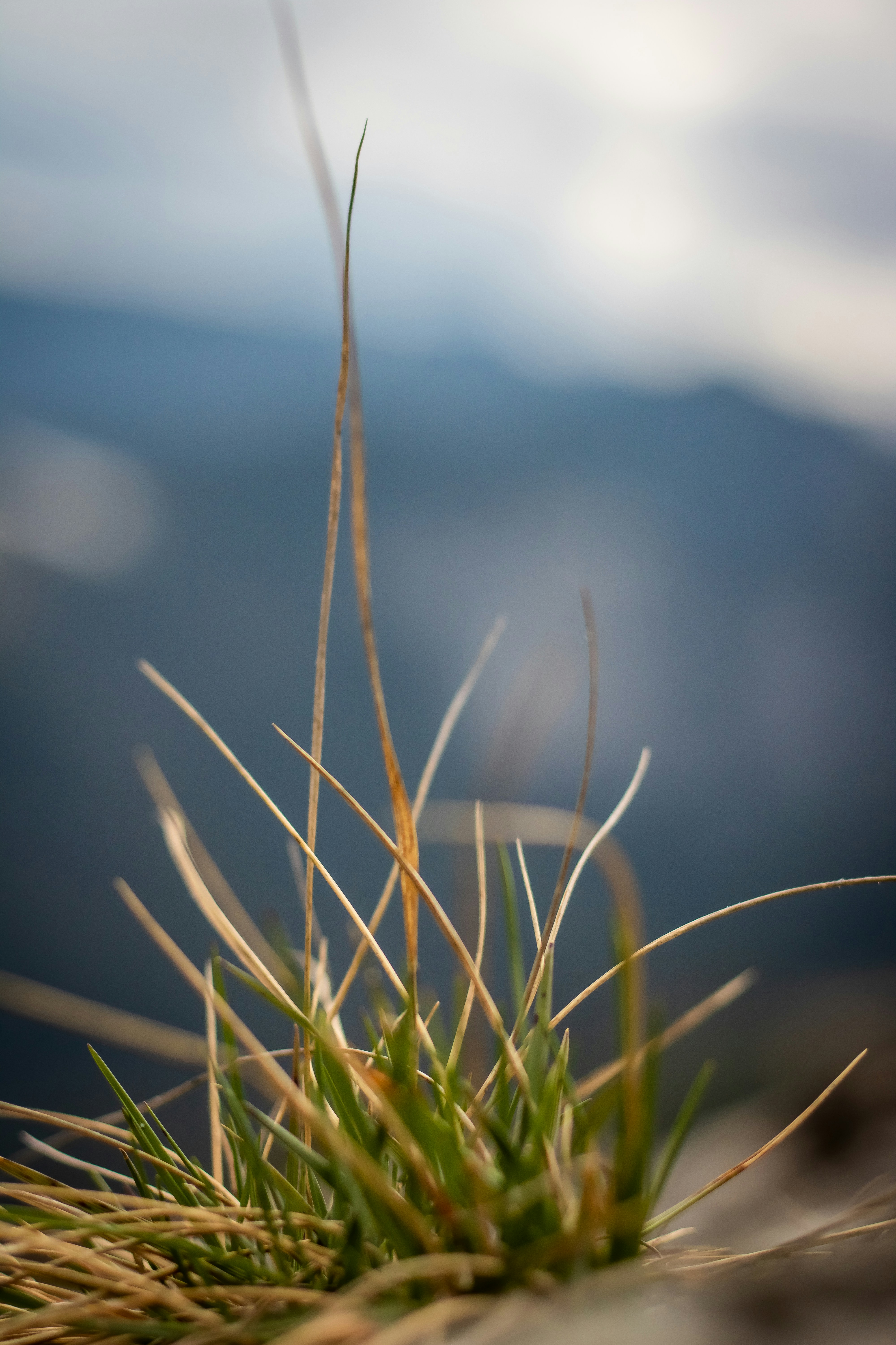 Photo by ovidiugruescu