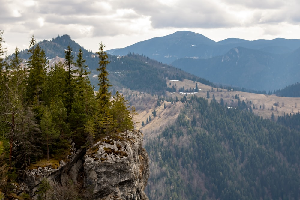 green trees on mountain during daytime