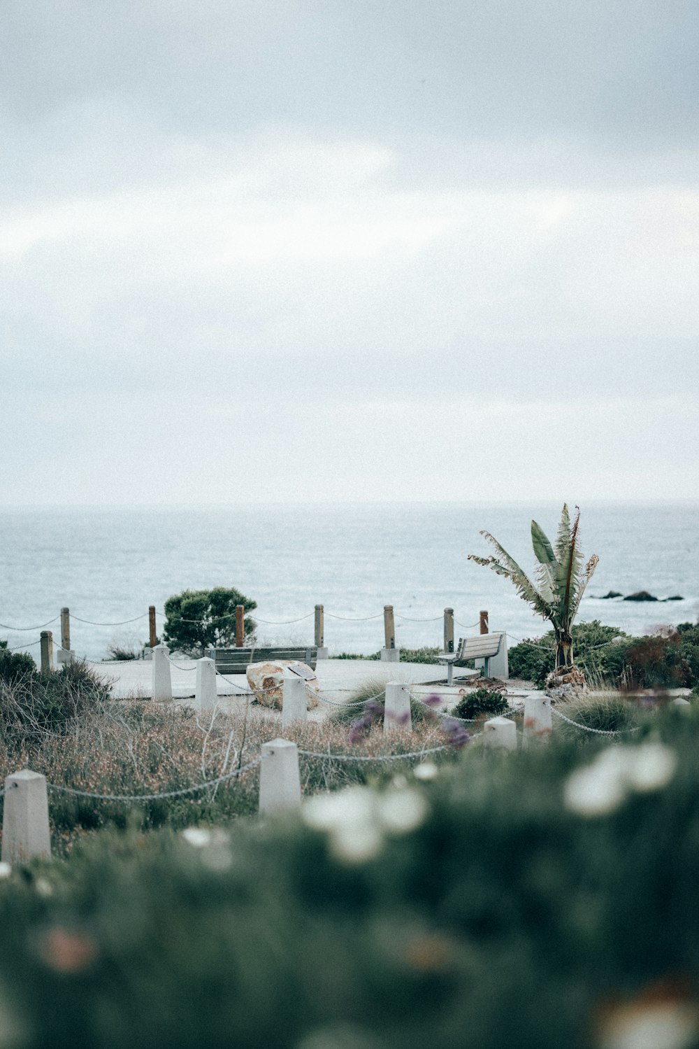 white wooden fence on white sand near body of water during daytime