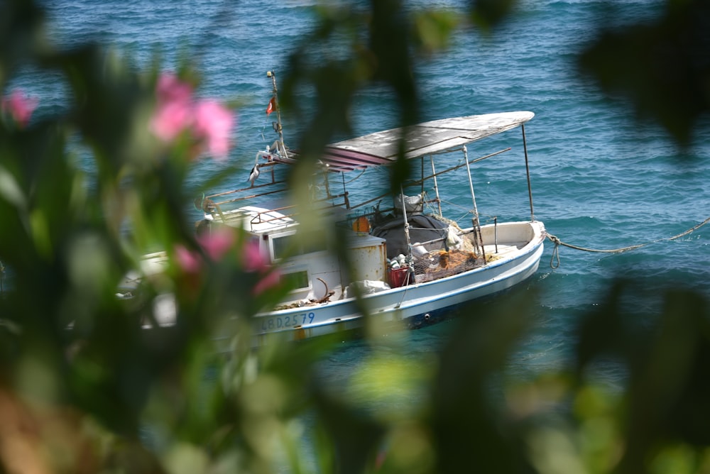 white and brown boat on body of water during daytime