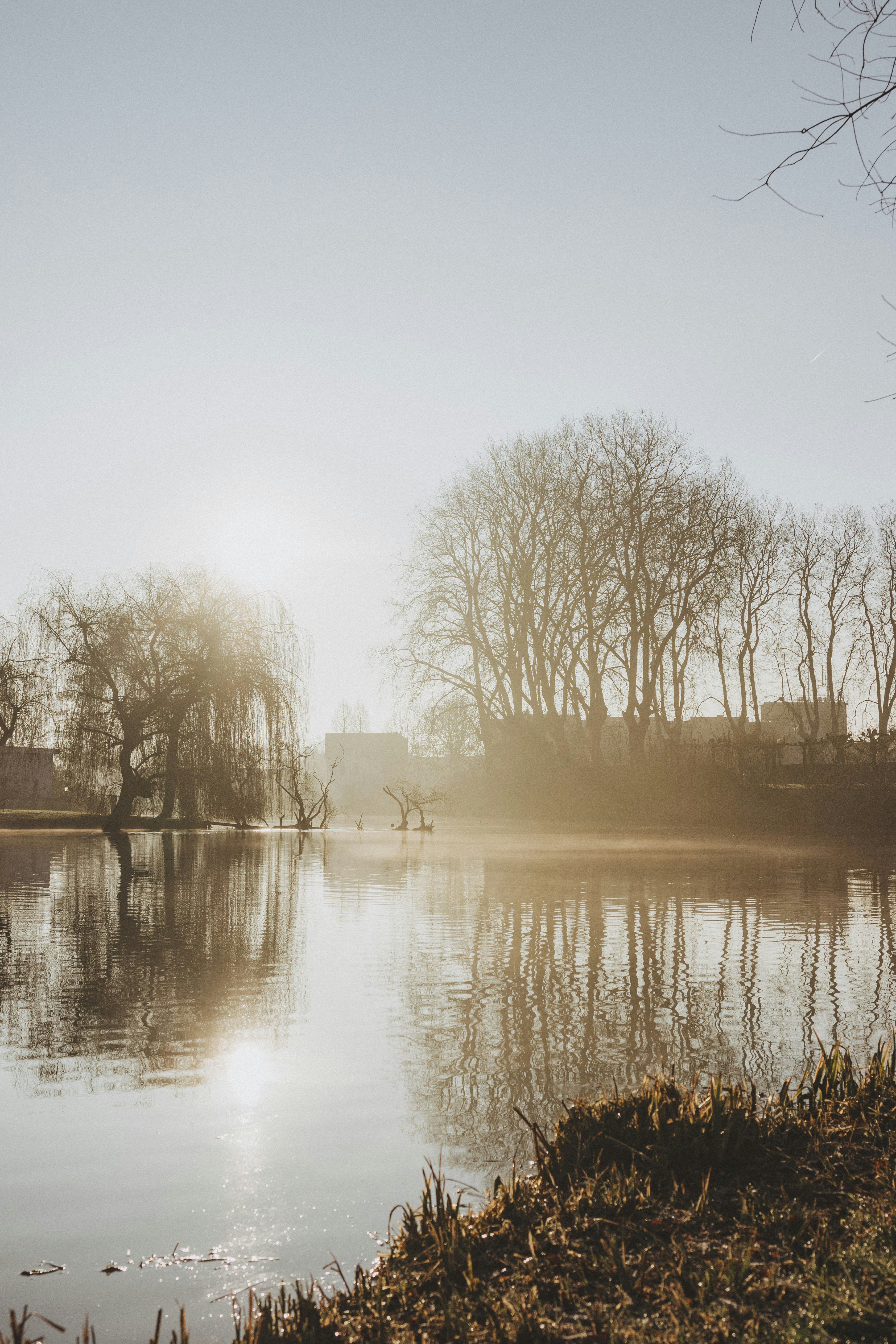 Photo by rubenschellingerhout