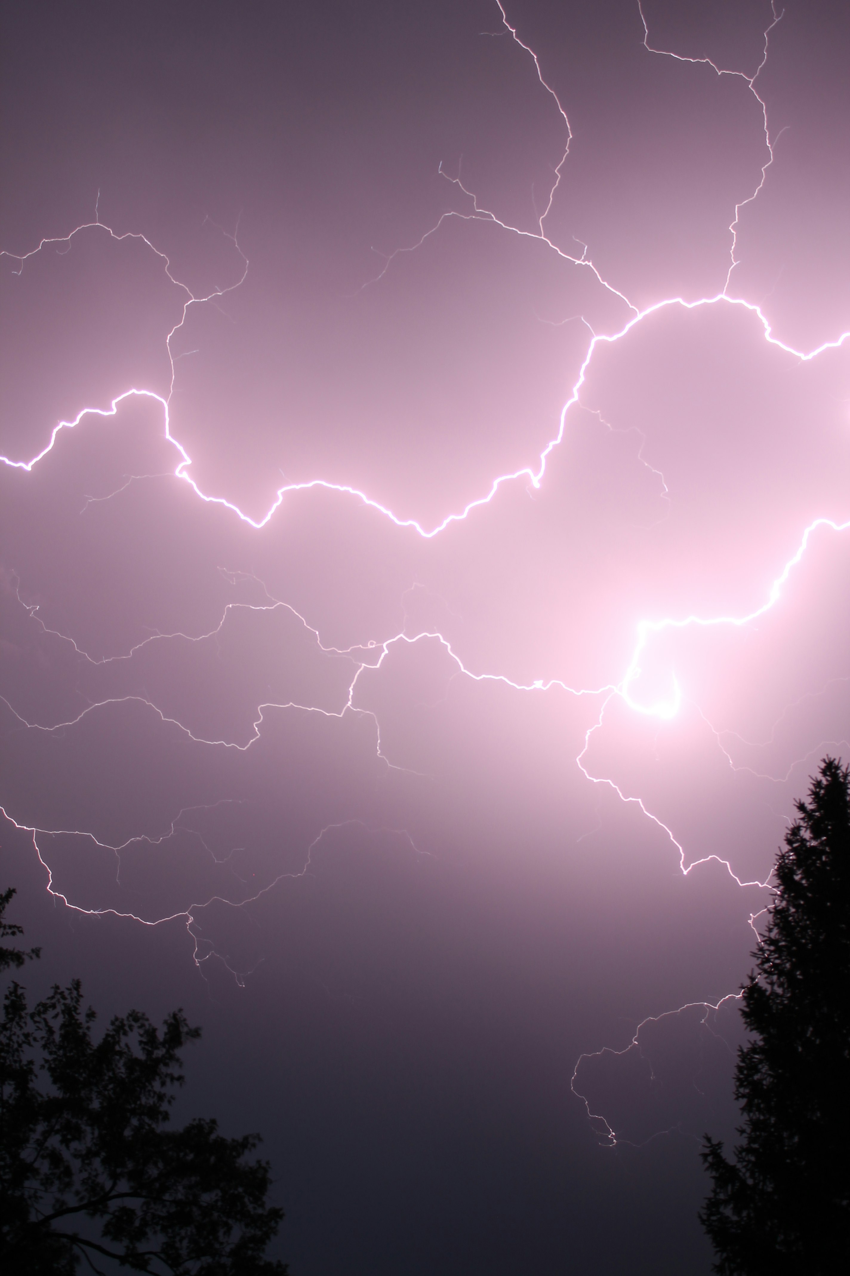 lightning strike on trees during night time