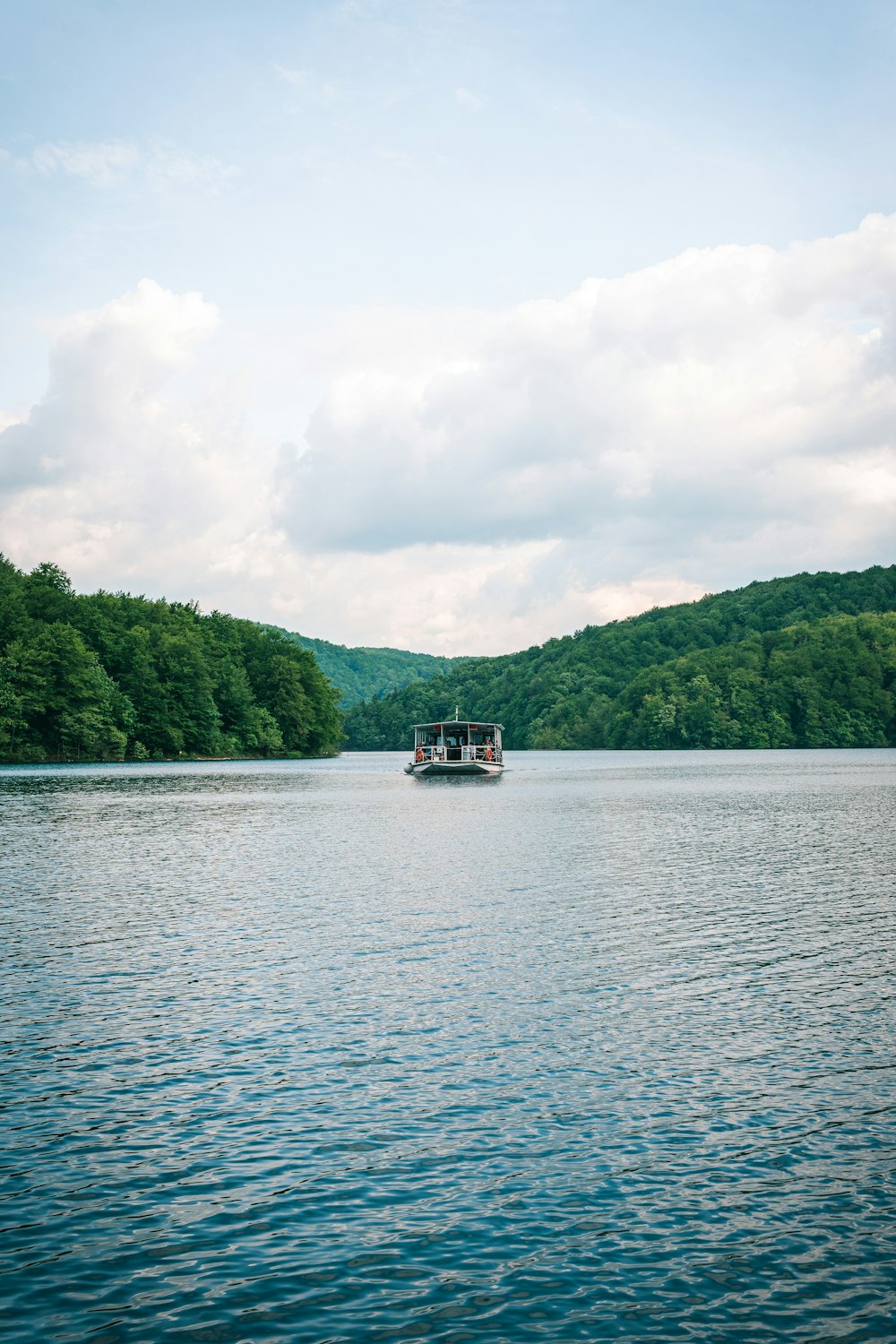 white and black boat on lake near green trees during daytime